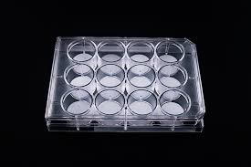 Insect Bioassay Trays 6, 12, 24 and 48 wells
