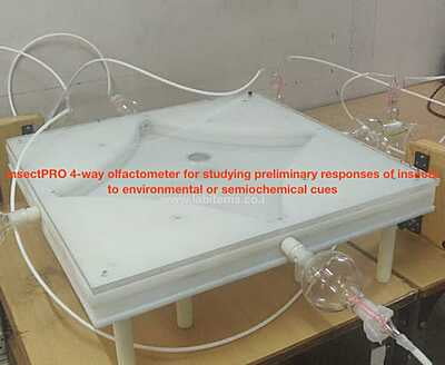 Olfactometer for entomology 4 choice chamber