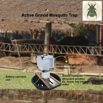 Active Gravid Oviposition Trap for Mosquitoes