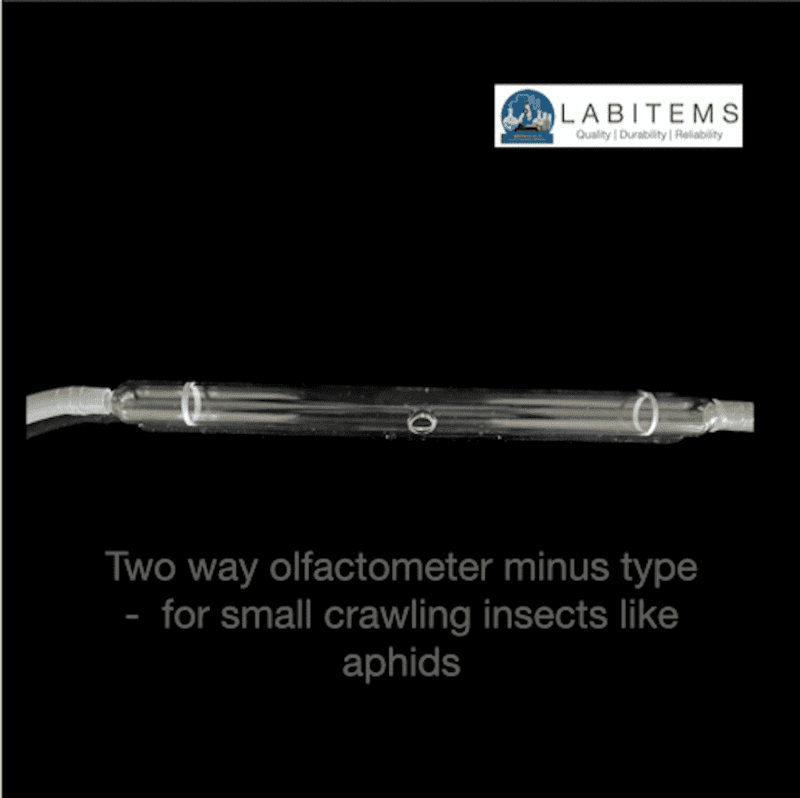 Two way olfactometer minus type for studying small insects
