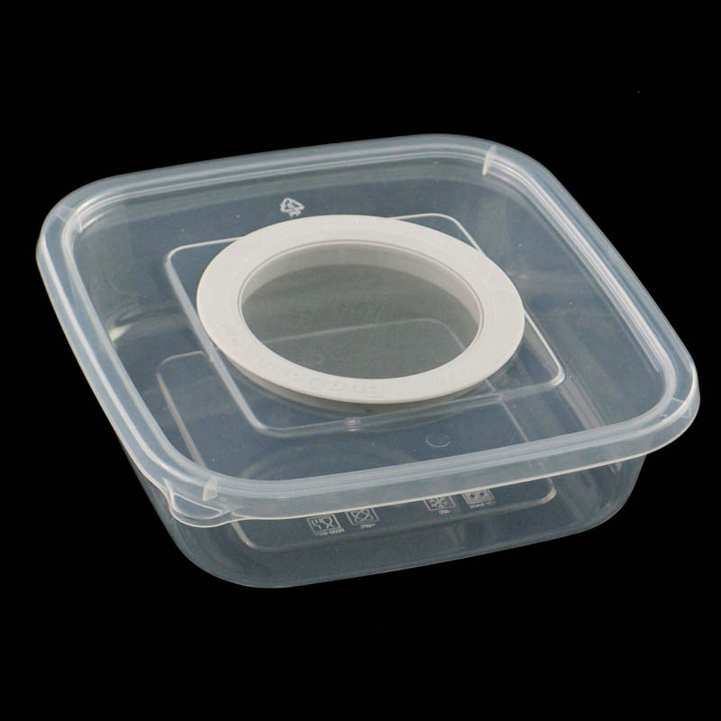 Insect Rearing Box with Nylon Screen Port BD5002 Insect Rearing Box with Nylon Screen Port BD5002