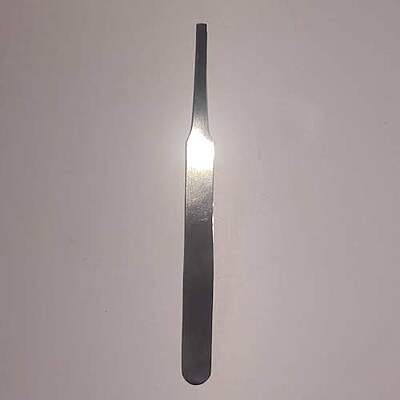 Entomological Forceps - 12.5cm with Round Wide Blunt Tip LIEA-05