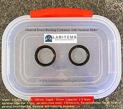 Insect Rearing Container 1.5 Lit with Aeration Hole