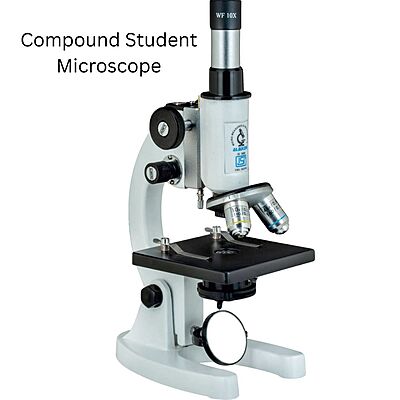 Compound Student Microscope - BM-3 - ALMICRO