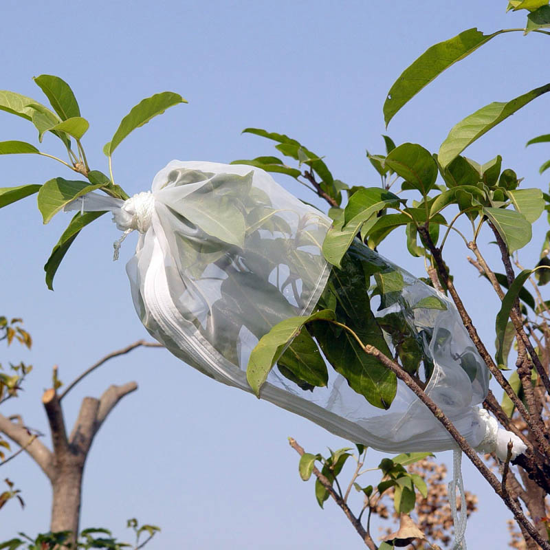 Insect Rearing Bag L70 x W30 cm DC3000W-L Insect Rearing Bag L70 x W30 cm DC3000W-L