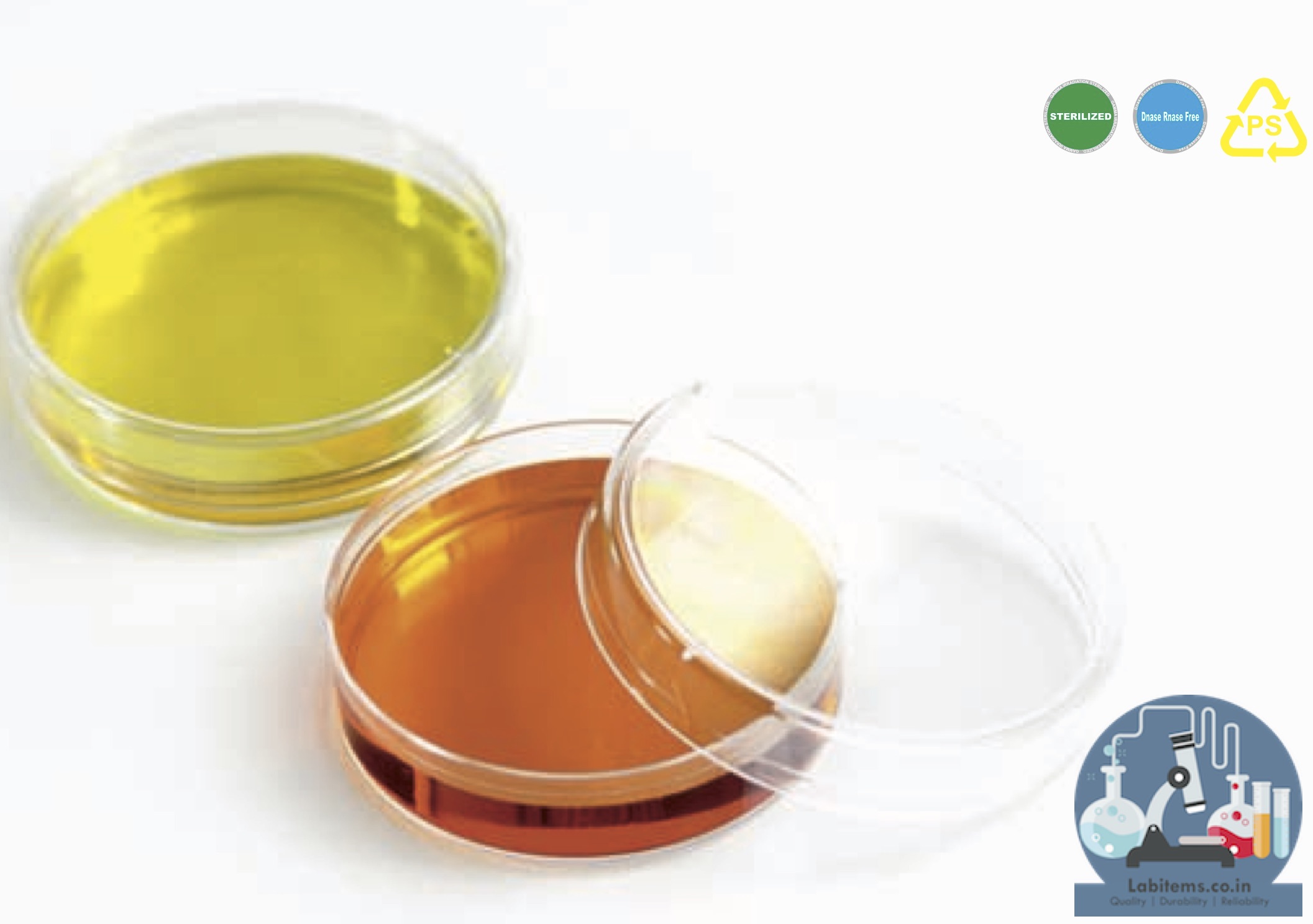 Petri Dish 60mm Individual Pack, ETO Sterile - LIPD10060