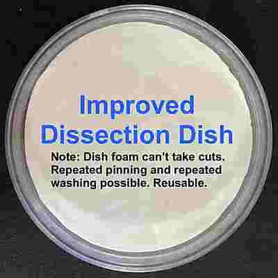 Dissecting Dish - Silicone or Foam pad inside
