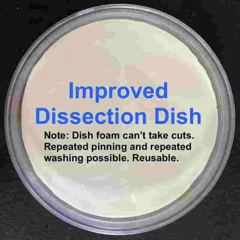 Dissecting Dish - Silicone or Foam pad inside