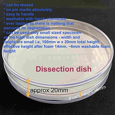 Dissecting Dish - Silicone or Foam pad inside