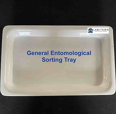 Larval sorting Tray Small Acrylic Based