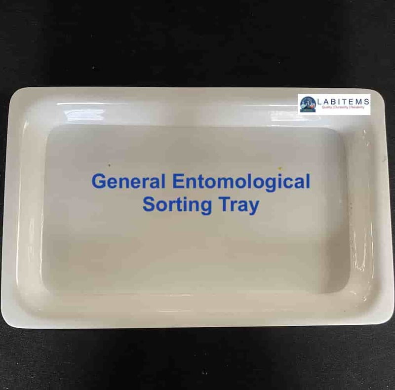 Larval sorting Tray Small Acrylic Based