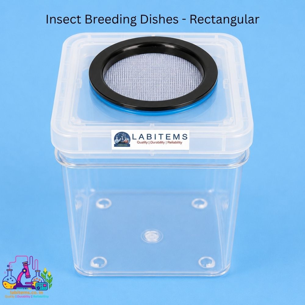 Insect breeding containers for rearing insect colonies and cultures