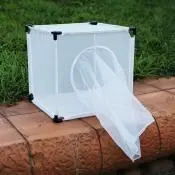 Insect Rearing Cage 4M3030 Insect Rearing Cage 4M3030