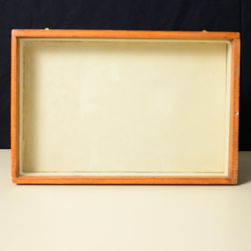 Insect Display Box ( A glass cover on top for easy viewing) LISB-02