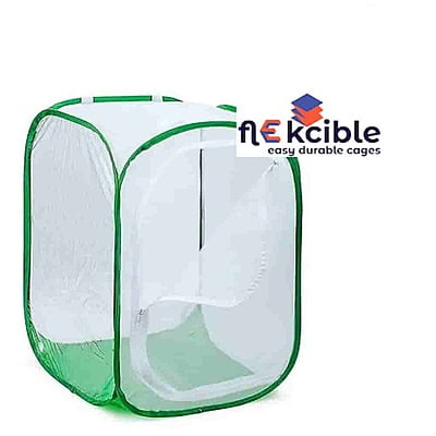 Flekcible Insect Rearing Cage 40 x 40 x 60cm