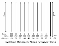 Insect Pins Size 00 LEA00 Insect Pins Size 00 LEA00