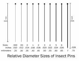 Insect Pins Size 00 LEA000 Insect Pins Size 00 LEA000