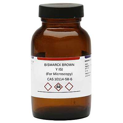Bismarck Brown Y (G) for Microscopy 25 g CAS #5421?66?9