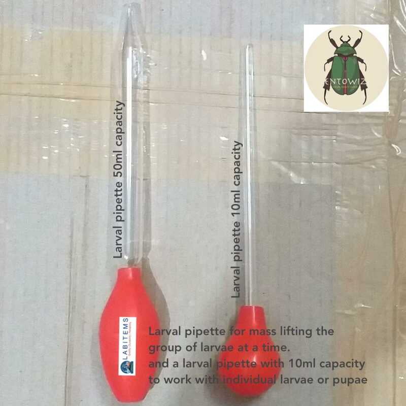 Larval pipettes for mosquito collections