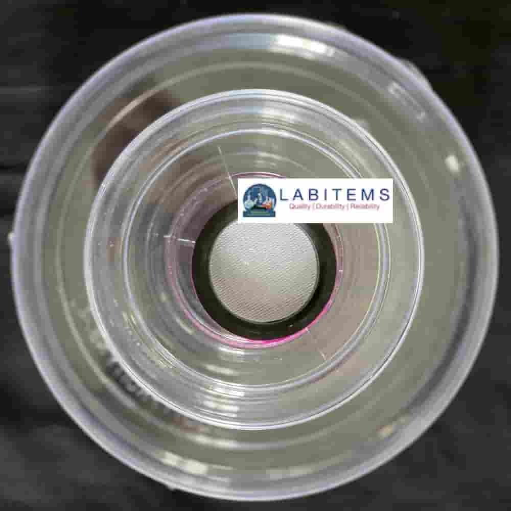 insect breeding containers clear SPL containers in India, Chennai ...
