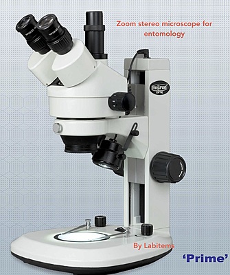 TRINOCULAR STEREO ZOOM MICROSCOPE LSZM1