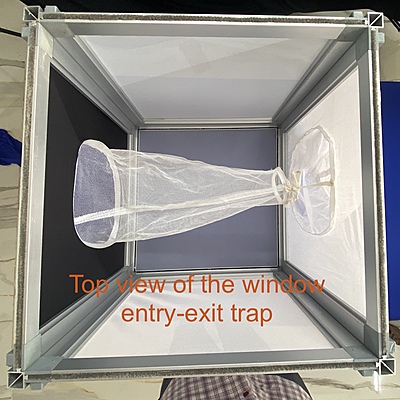 window entry and exit trap for the study of endophilic behavior of mosquitoes