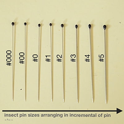 Insect Pins Pure SS without Enamel Coating (100 pins per pack)