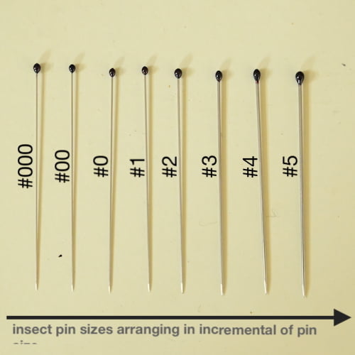Insect Pins Pure SS without Enamel Coating (100 pins per pack)