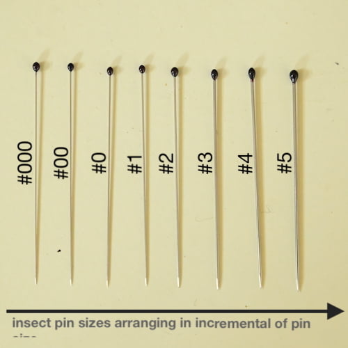 Insect pins and entomological pins for mosquito and insect pinning for ...