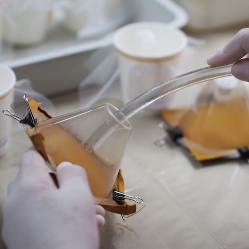 Bioassay cones (conical chamber) LI-BA-02 Bioassay cones (conical chamber) LI-BA-02