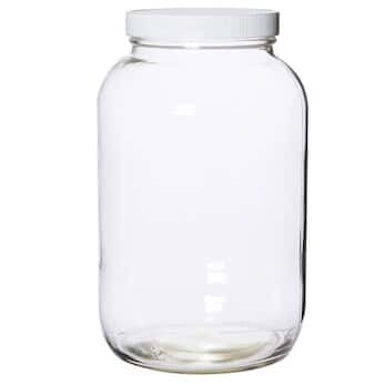 Insect Killing Jar (w/o Killing Agent) LAWB03