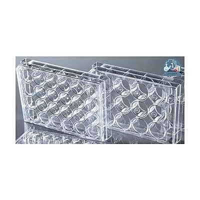 Insect Rearing Cells 7x1 LS01-1